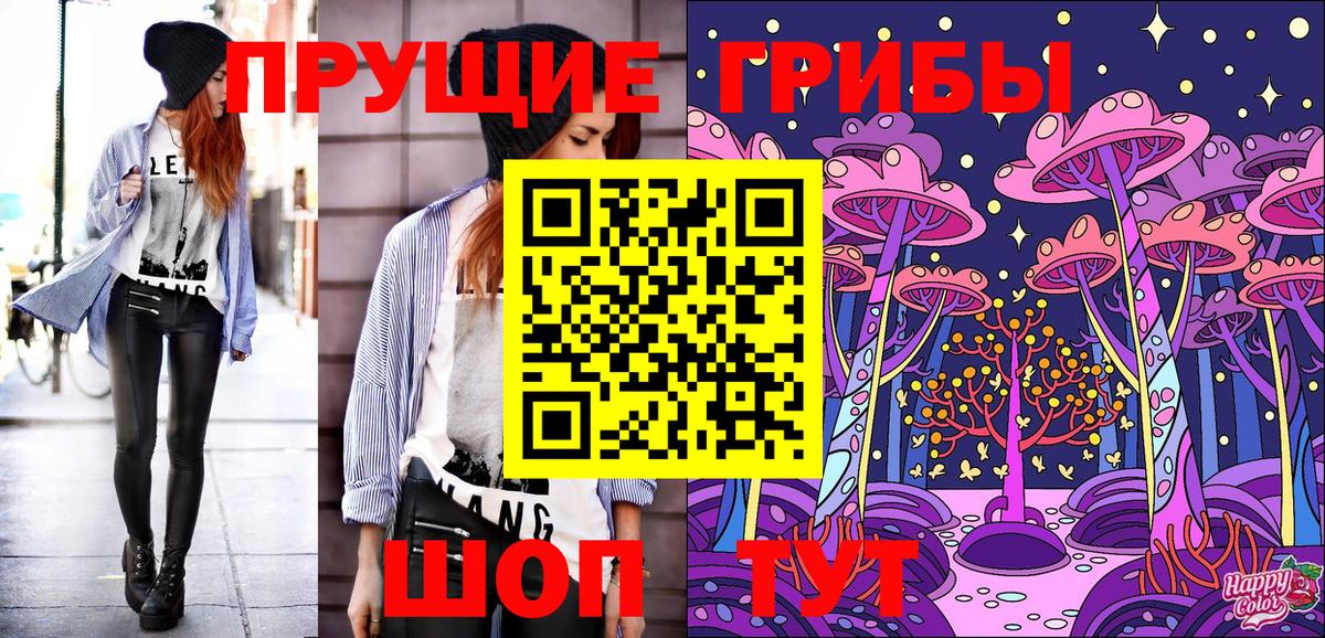 Заречный  Галлюциногенные грибы Magic Shrooms  Вход с VPN  Галлюциногенные грибы GOLDEN TEACHER 