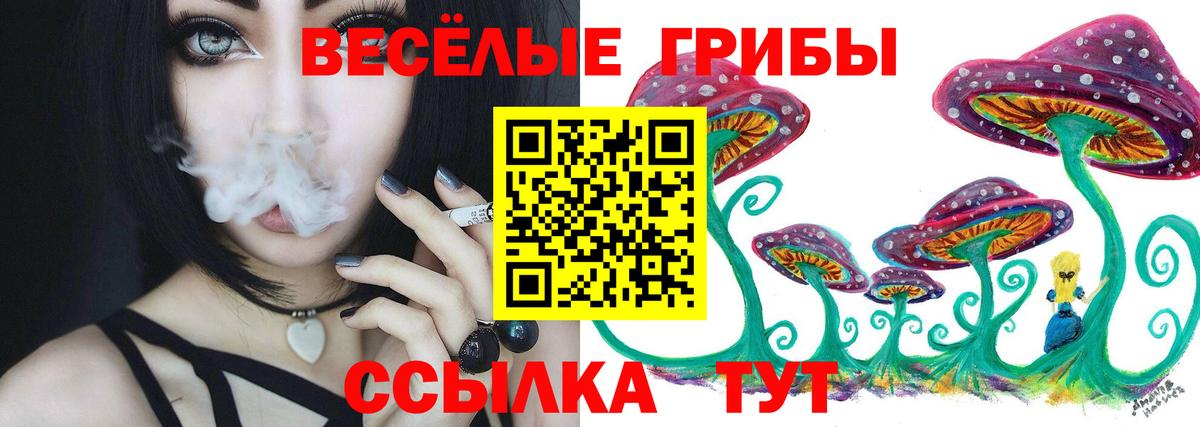 Галлюциногенные грибы прущие грибы Заречный